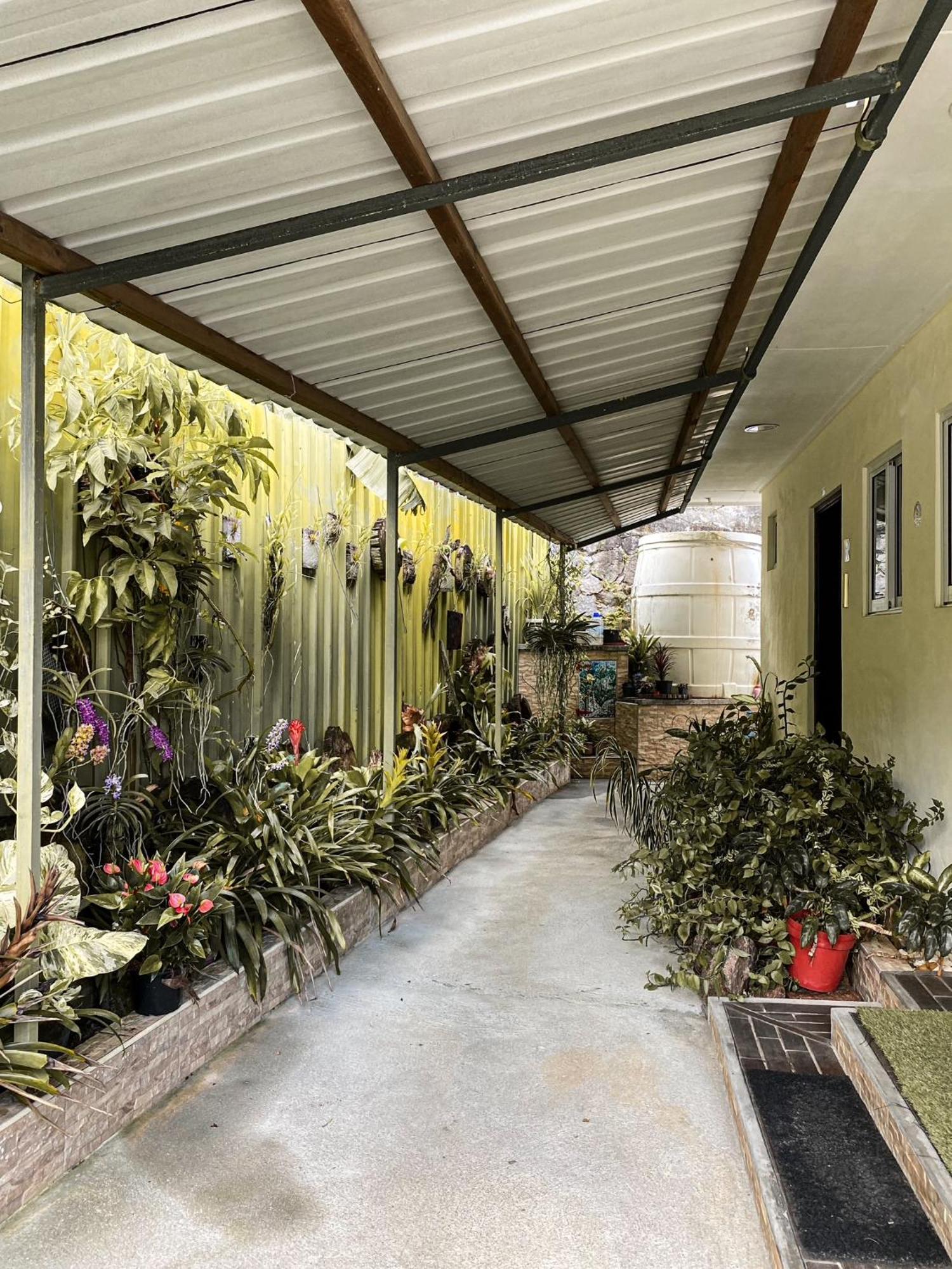 شقة Anse Norwa Self Catering بو فالون المظهر الخارجي الصورة